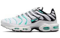 Nike Air Max Plus Сетка Низкие Беговые Кроссовки Мужские Белые Синие Черные