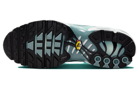 Nike Air Max Plus Сетка TPU Кожа Низкий Верх Повседневная Обувь Мужская Синий Белый