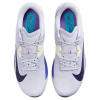 Nike Rival Fly 4 Амортизация Дышащий Легкий Низкий Топ Повседневные Беговые Кроссовки Мужские Светло-Фиолетовые
