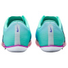 Nike Maxfly 2 Поддержка Эффект Классификация Поддержка Функциональность Синие Кроссовки для лёгкой атлетики Sprint