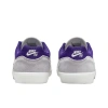 Nike SB MALOR Устойчивые к истиранию низкие кеды для скейтбординга Мужские Серый Фиолетовый