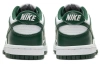 Nike Dunk Varsity Varsity Green Низкие Детские Скейтбординговые Кроссовки Белый Зеленый Унисекс