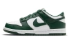 Nike Dunk Varsity Varsity Green Низкие Детские Скейтбординговые Кроссовки Белый Зеленый Унисекс
