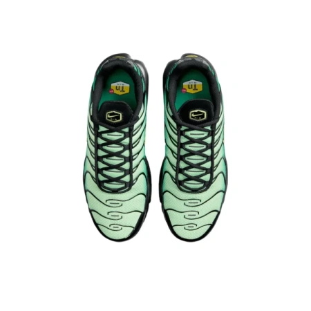 Nike Air Max Plus Амортизация Низкий Верх Повседневная Обувь Унисекс Зеленый Черный