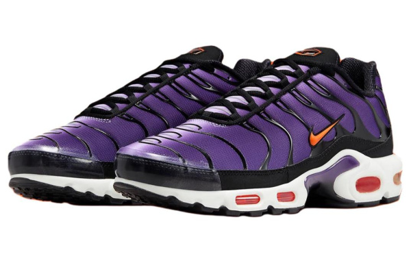 Nike Air Max Plus Low Top Повседневная обувь Мужская Фиолетовая Черная