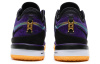 Nike LeBron NXXT Gen Low Топ Баскетбольные кроссовки Мужские Фиолетовые Золотые