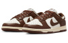 Nike Dunk 'Surfaces In Коричневый и Парус' Шоколадная Кожа Удобная Амортизация Устойчивая к Износу Легкий Низкий Верх