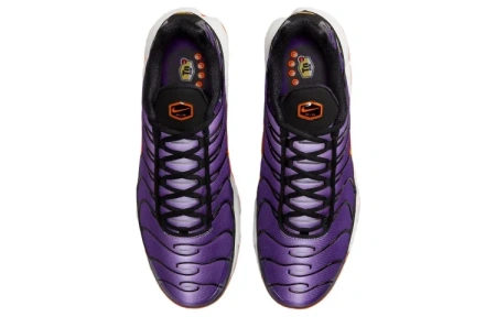 Nike Air Max Plus Low Top Повседневная обувь Мужская Фиолетовая Черная
