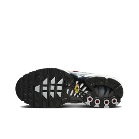 Nike Air Max Plus Устойчивые к истиранию низкие повседневные беговые кроссовки унисекс серо-красные