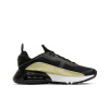 Nike Air Max 2090 Low Топ Повседневные Беговые Кроссовки Женские Черный Золото