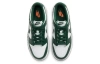 Nike Dunk Varsity Varsity Green Низкие Детские Скейтбординговые Кроссовки Белый Зеленый Унисекс