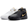 Nike LeBron NXXT Gen Low Баскетбольные кроссовки Мужские Черный Белый Золото