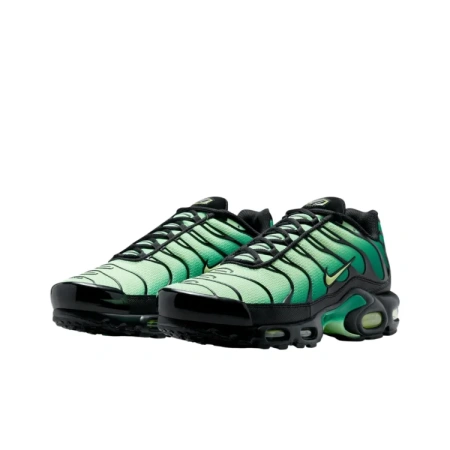 Nike Air Max Plus Амортизация Низкий Верх Повседневная Обувь Унисекс Зеленый Черный